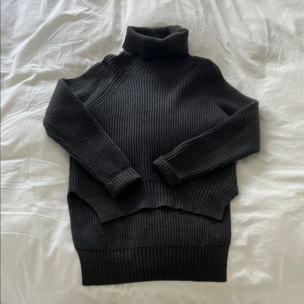 Wilfred Turtleneck Sweater